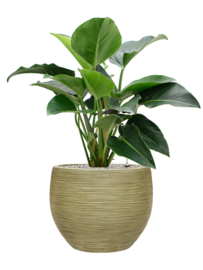 Ronde Fiberclay bloembak 'Sandflow' | kleur: Green | Ø 50 x H 38 cm