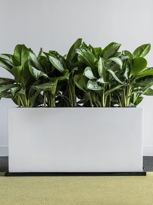Hoogglans polyester plantenbak langwerpig 'Mirror' 95x38x72 cm