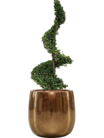 Keramiek schaal 'Illy'  glanzend goud Ø43 x H43 cm