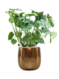 Keramiek schaal 'Illy'  glanzend goud Ø43 x H43 cm