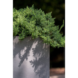 Rechthoekige Fiberstone plantenbak  L200 x B60 x H50 Kleur: Stone Grey