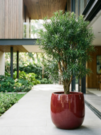 Keramiek plantenbak 'Ily'   glazuurlaag rood Ø56x H56 cm