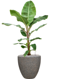 Natuurlijke plantenbak 'Twig Tub' | Biologisch afbreekbare plantenbak Ø 50 x H 50 cm