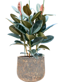 Ronde plantenbak 'Andes Cone' | Ø44 x H36 cm | Gemêleerd bruin | Weerbestendig voor binnen en buiten