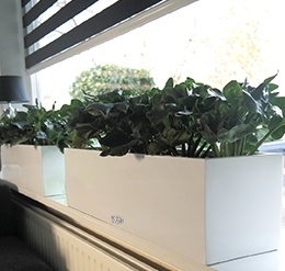 Rechthoekige Fiberstone plantenbak L80 x B20 x H20 cm. Kleur: Shiny White Fiberstone plantenbakken Rechthoekig | plantenbak