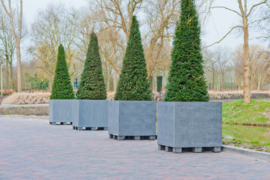 Vierkante stonelook plantenbak `Austin` Afmeting: L130 x B130 x H100 | Kleur: Grey Stonelook