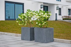 Vierkante stonelook plantenbak `Michigan` Afmeting: L110 x B110 x H70 | Kleur: Grey Stonelook