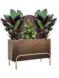 Kunststof plantenbak op poten 'Gambe' L 82 x B 34 x H 51 cm | Coffee