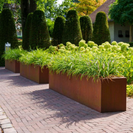 Cortenstaal plantenbak rechthoek 'Premium' 300 x 40 x 40 cm
