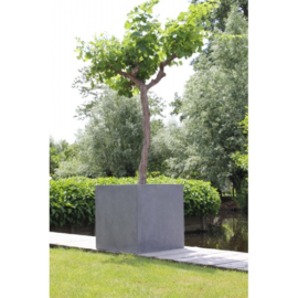 Vierkante stonelook plantenbak `Michigan`Afmeting: L80 x B80 x H60 cm Kleur: Grey Stonelook