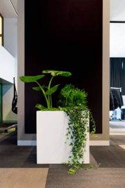 Hoogglans polyester plantenbak `Cubo` 60x60x60 cm