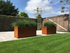 Cortenstaal plantenbak rechthoek met uitneembare vakverdeling 'Vidam' 125 x 45 x 90 cm