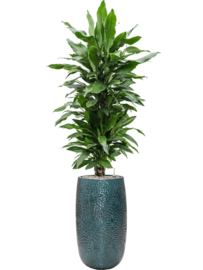 Keramiek plantenbak 'Eliza' hoogglans lak  Ø36 x H63 cm