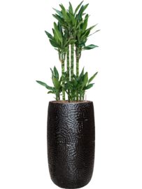 Keramiek plantenbak 'Claire' zwart hoogglans lak  Ø31 x H63 cm