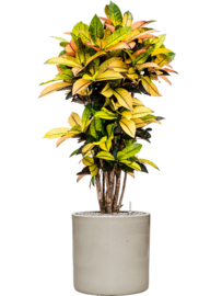 Keramiek schaal 'Florine'  glanzend wit Ø40 x H40 cm