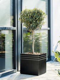 Design plantenbak 'Aston' L 48 x B 48 x H 48 cm (inclusief wielplateau en inzetbak)