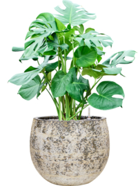 Ronde plantenbak 'Andes Balloon' | Ø45 x H35 cm | Gemêleerd wit | Weerbestendig voor binnen en buiten