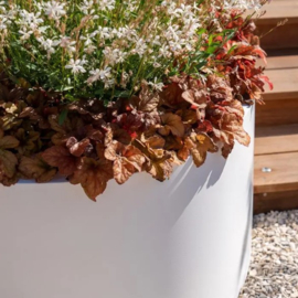 Aluminium plantenbak `Ovali`zonder bodem L 120 x B 80 x H 60 cm
