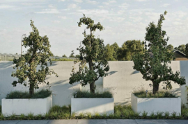Polyester plantenbak rechthoekig 'Titan' 180x100x100 cm