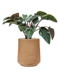 Ronde Fiberclay bloembak 'Sandflow' | kleur: Brown Beige | Ø 49 x H 55 cm