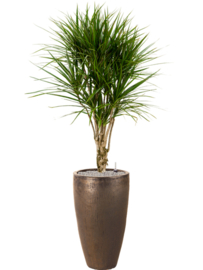 Keramiek plantenbak  'Verla' goudkleurig Ø41 x H69 cm