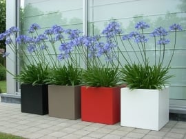 Polyester plantenbak `Kubus` 100x100x60cm