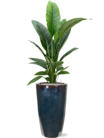 Keramiek plantenbak  'Alonzo' metaalblauw geglazuurd D36xH70 cm