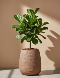 Fiberclay plantenbak 'Alps' | kleur: Dark Brown |  Ø 53  x H 58 cm