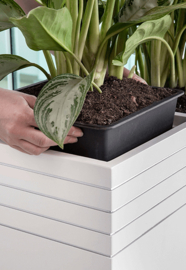 Design plantenbak 'Aston' L 38 x B 38 x H 75 cm (inclusief wielplateau en inzetbak)