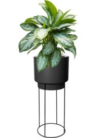 Elegante ronde kunststof bloempot 'Giorgia' op pootjes H69xØ29.5 cm