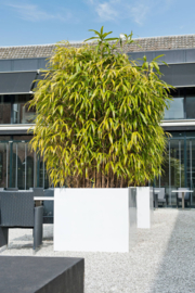 Hoogglans polyester plantenbak 'Cubo' 1100x1100x920mm