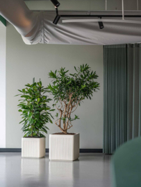 Design plantenbak 'Icon' Cube | Zijdewit H60 x B60 x H60 cm