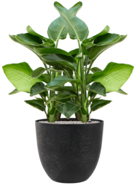 Duurzame composiet plantenbak 'Stone Art' | Gerecyclede plantenbak Ø 55 x H 45 cm