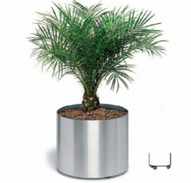 RVS plantenbak, cilindervorm 'Andor' op ring Ø110 x H102cm