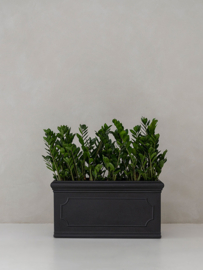 Romantische bloembak 'Belle Jardinière' L100 x B40 x H50 | kleur: Black