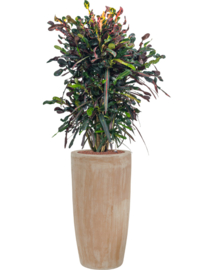 Handgemaakte Terracotta bloempot `Vaso Dorotea` Ø36xH70