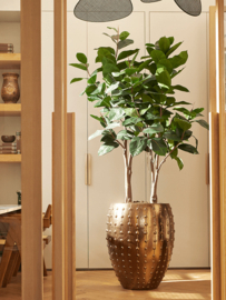 Keramiek plantenbak  'Lucia' glanzend goud D64 x H80 cm
