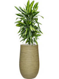 Ronde Fiberclay bloembak 'Sandflow' | kleur: Green | Ø 25 x H 40 cm