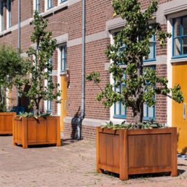 CorTenstaal plantenbak `Tican` + uitneembare zijwand 80x80x80 cm