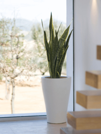 Kunststof design plantenbak 'Vada' H68 x Ø45 cm