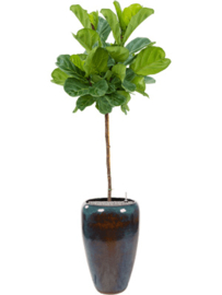 Keramiek plantenbak  'Oceano' mixed blauw geglazuurd Ø55xH89 cm