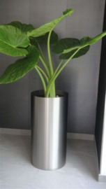 RVS plantenbak - geborsteld, cilindervorm 'Brio' Ø40 x H75cm