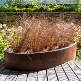 Cortenstaal ovale design plantenbak 'Bravot' 200 x 120 x 60 cm