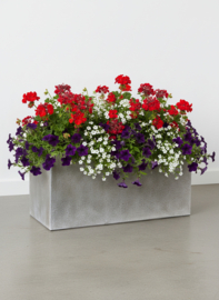Fiberclay plantenbak 'Serenity' Recto | Kleur: Grey Brown |  L 80 x B 37 x H 37 cm