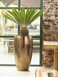 Keramiek plantenbak 'Felice'  glanzend goud Ø53 x H92 cm