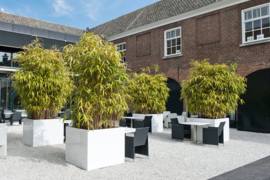 Hoogglans polyester plantenbak 'Cubo' 1100x1100x920mm