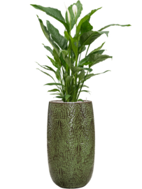 Keramiek plantenbak 'Eliza' hoogglans lak  Ø36 x H63 cm