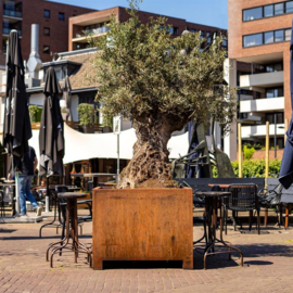 CorTenstaal plantenbak 'Premium' op poten 80x80x80 cm