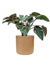 Ronde Fiberclay bloembak 'Sandflow' | kleur: Brown Beige | Ø 53 x H 52 cm