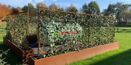 Cortenstaal plantenbak rechthoek 'Premium' incl. pergola 250 x 50 x 160 cm